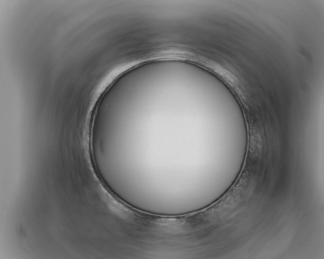 X0000113221478200909171544