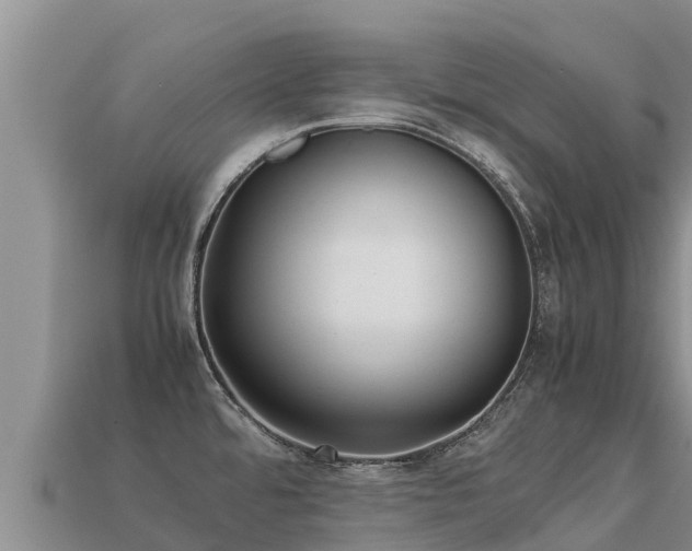 X0000113221480200909171544