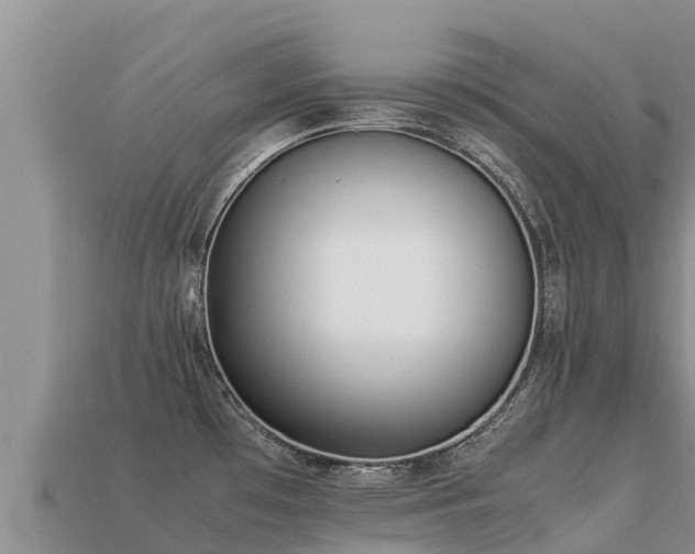 X0000113221481200909171544