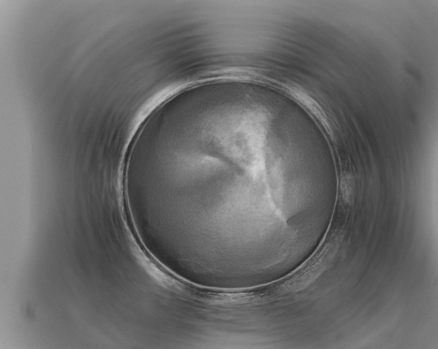 X0000113221482200909171544