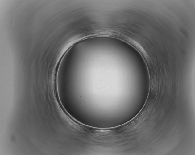 X0000113221483200909171544