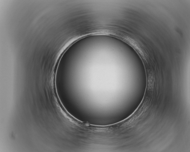 X0000113221484200909171544