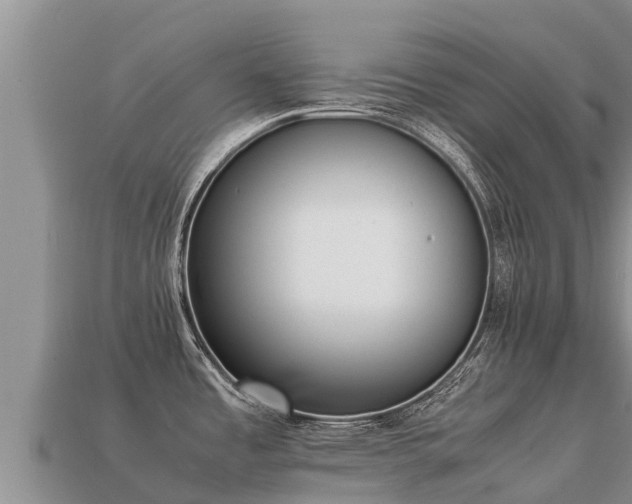 X0000113221485200909171544