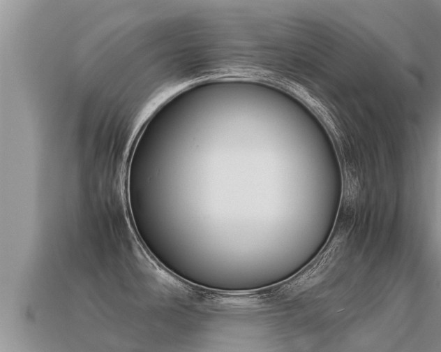 X0000113221486200909171544