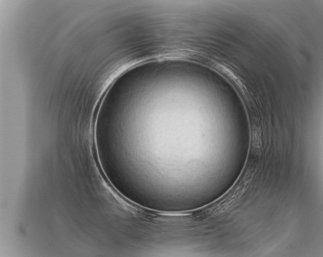 X0000113221487200909171544