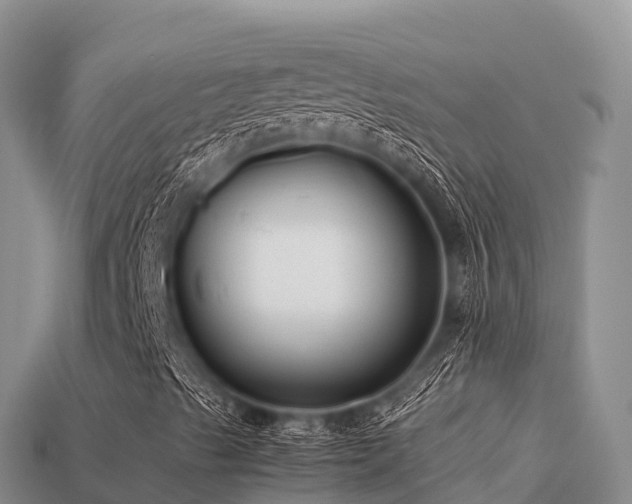 X0000113221489200909171544