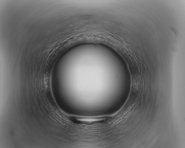 X0000113221490200909171544