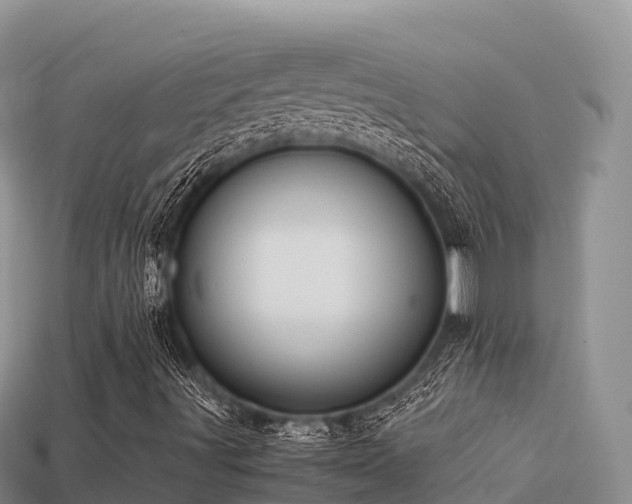 X0000113221491200909171544