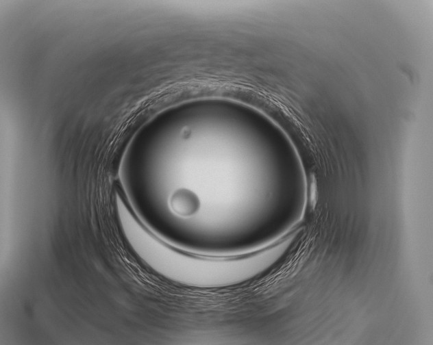 X0000113221492200909171544