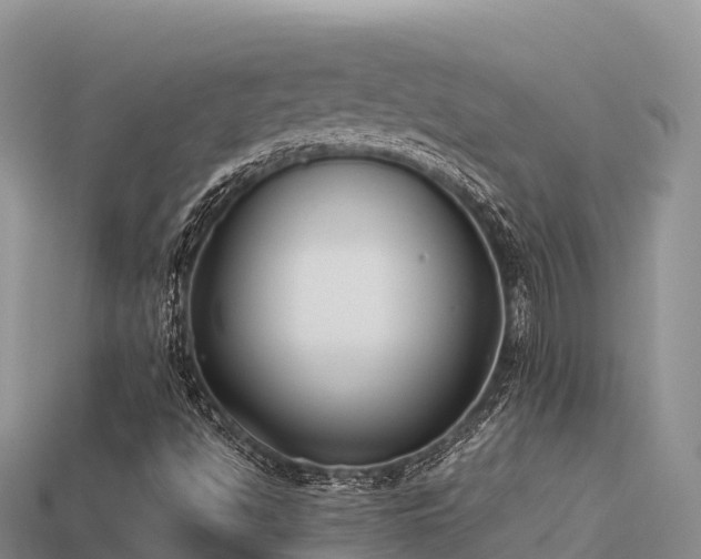 X0000113221494200909171544