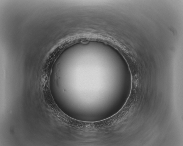 X0000113221495200909171544