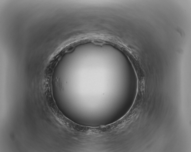 X0000113221496200909171544