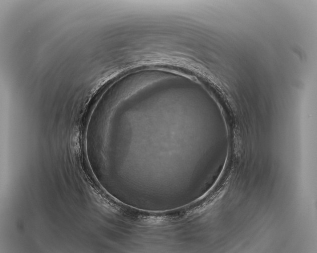 X0000113221497200909171544