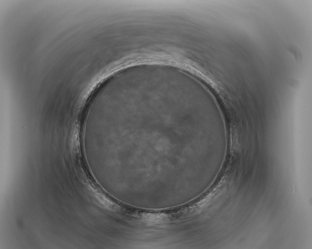 X0000113221498200909171544