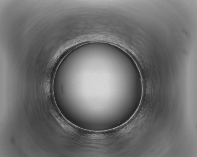 X0000113221499200909171544