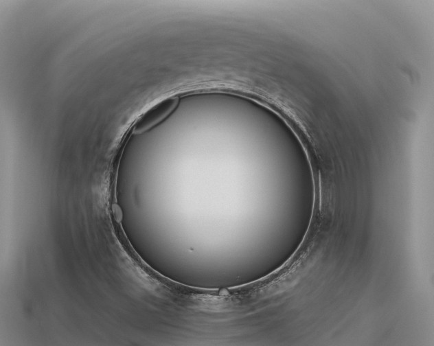 X0000113221500200909171544