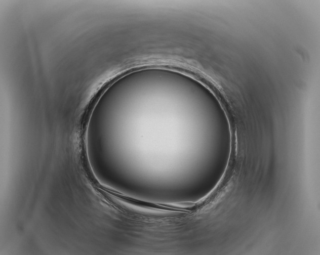 X0000113221501200909171544