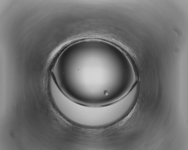 X0000113221502200909171544