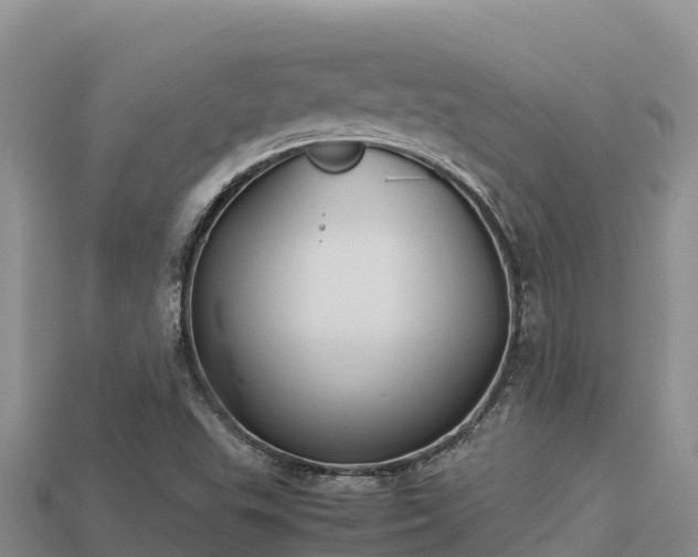 X0000113221503200909171544