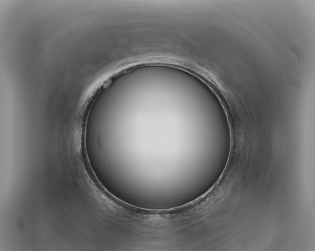 X0000113221504200909171544