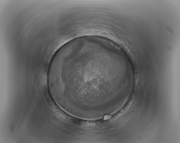 X0000113221505200909171544