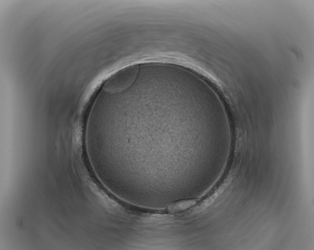 X0000113221506200909171544