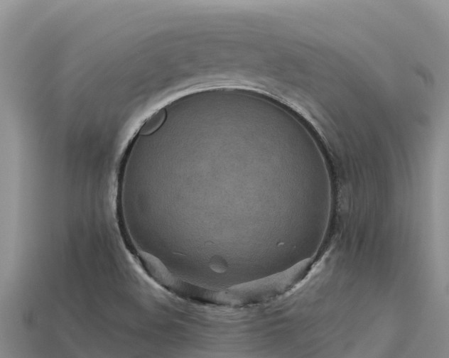 X0000113221508200909171544