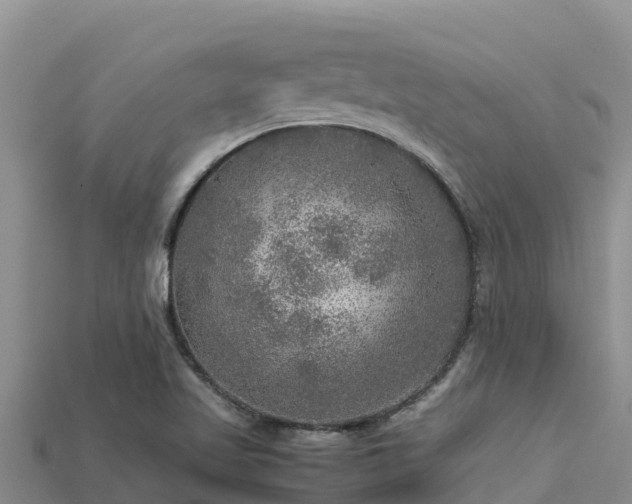 X0000113221509200909171544