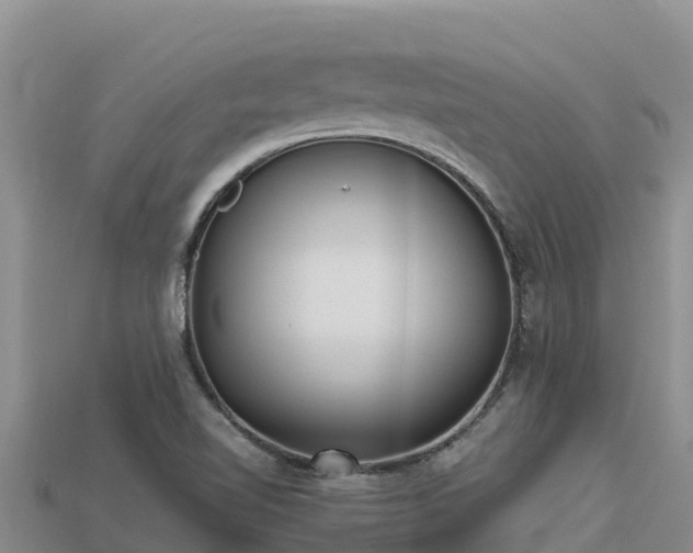 X0000113221510200909171544