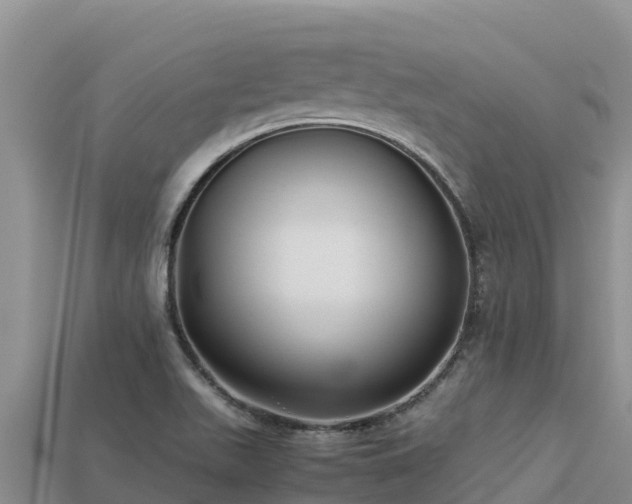 X0000113221511200909171544