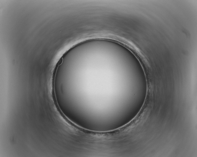 X0000113221512200909171544