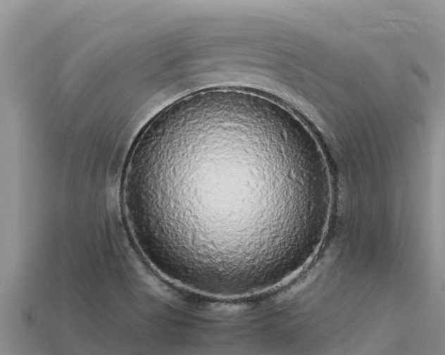 X0000113221513200909171544