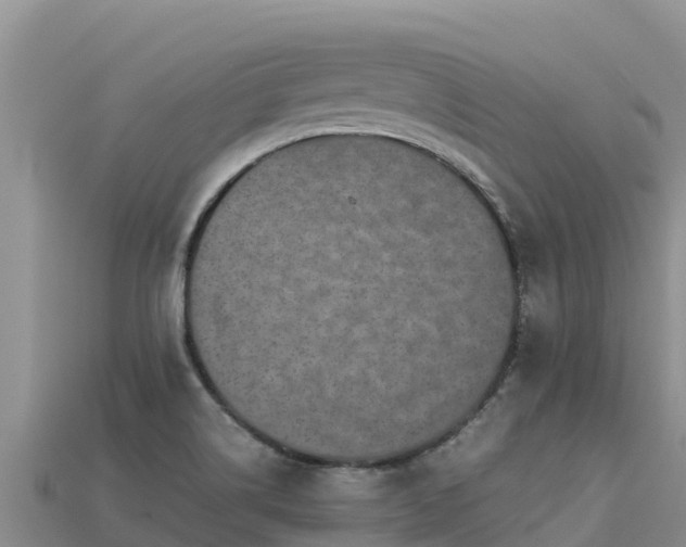 X0000113221514200909171544