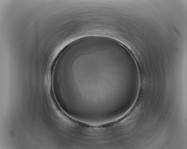 X0000113221515200909171544