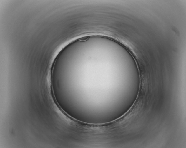 X0000113221516200909171544