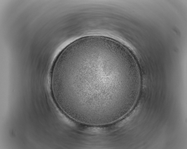 X0000113221517200909171544