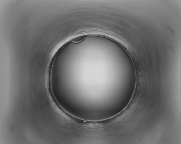 X0000113221518200909171544