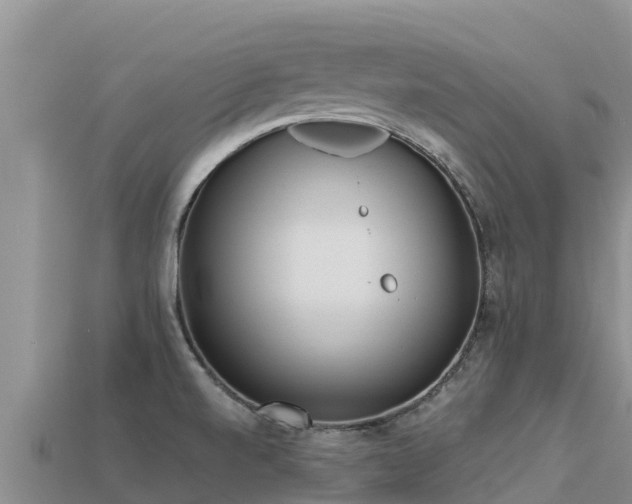 X0000113221520200909171544