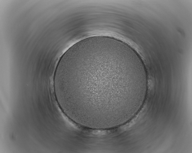 X0000113221521200909171544