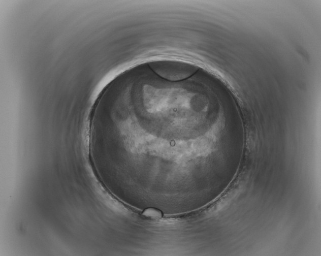 X0000113221522200909171544