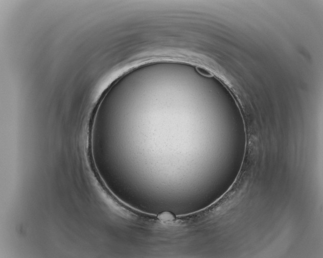 X0000113221523200909171544