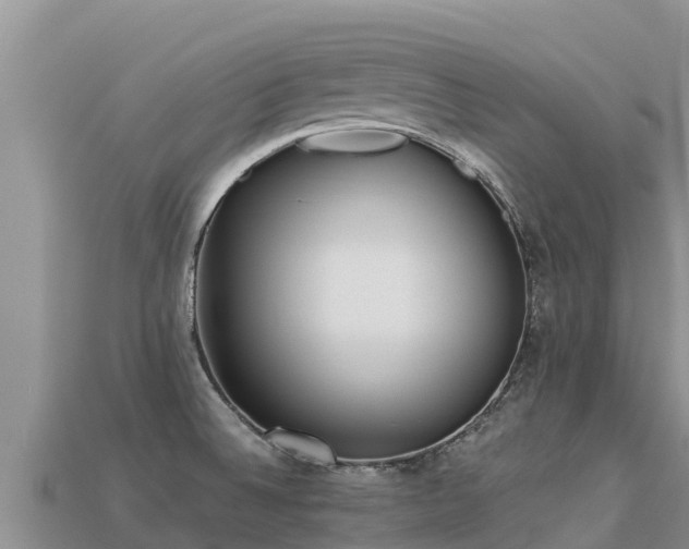 X0000113221524200909171544