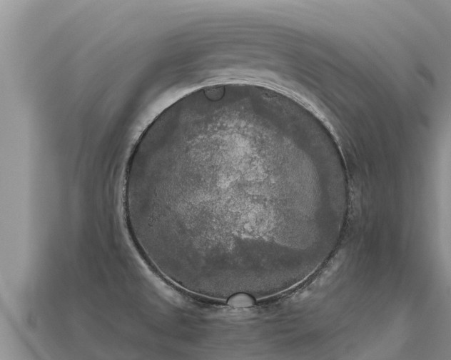 X0000113221525200909171544