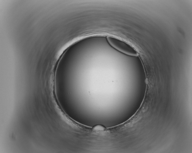 X0000113221526200909171544