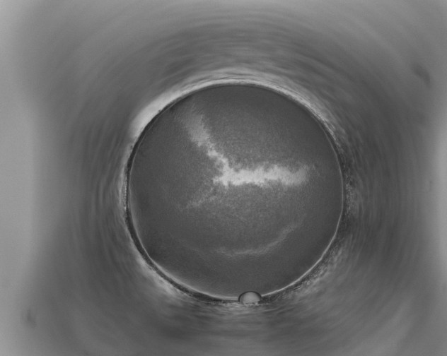 X0000113221527200909171544