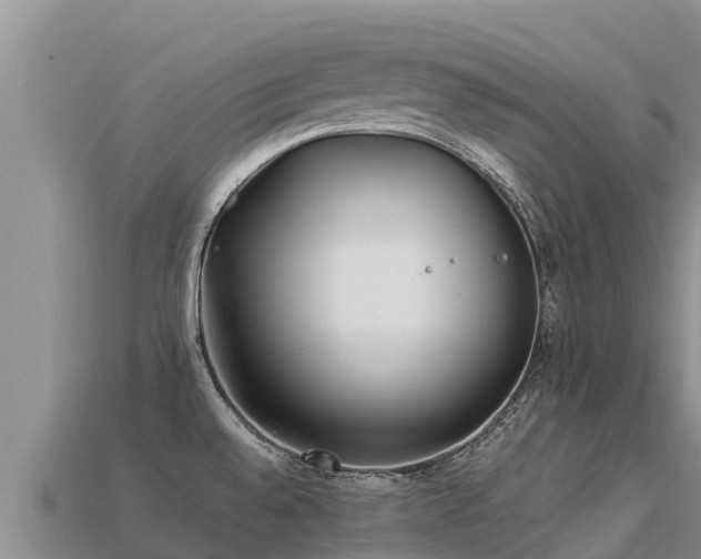 X0000113221528200909171544