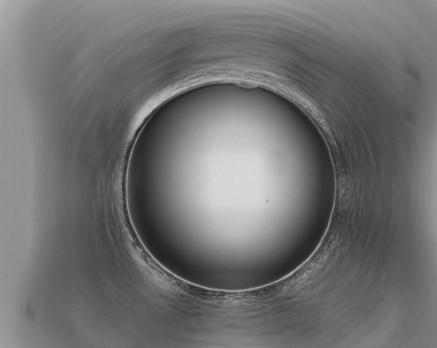 X0000113221530200909171544