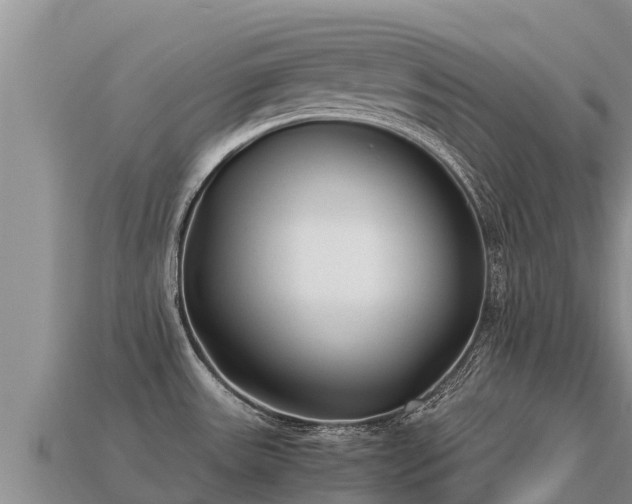 X0000113221531200909171544