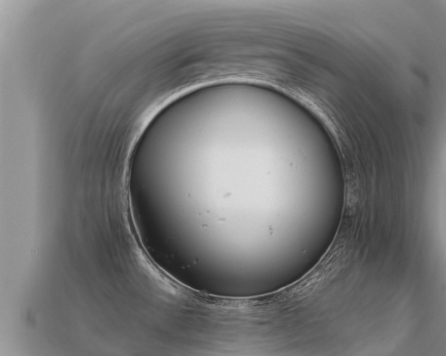 X0000113221532200909171544