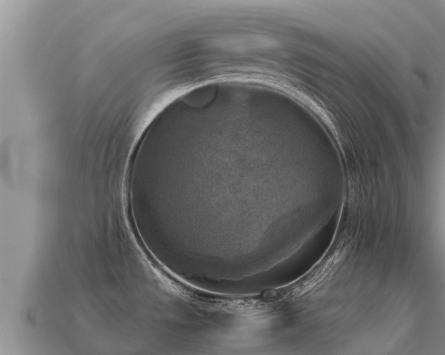 X0000113221533200909171544